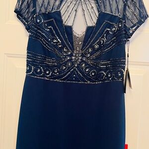 New Adrianna Papell Formall Dress